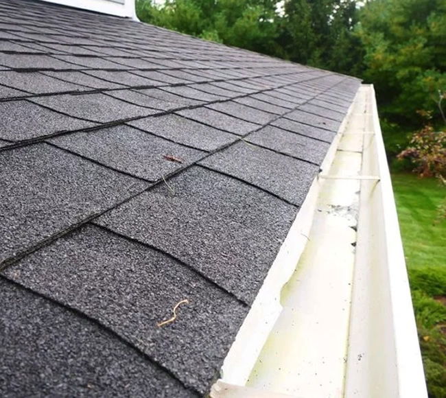 Gutter Cleaning Services Florida